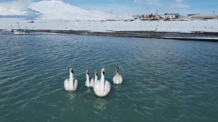 Donan Arin Gölü’nden manzaralar