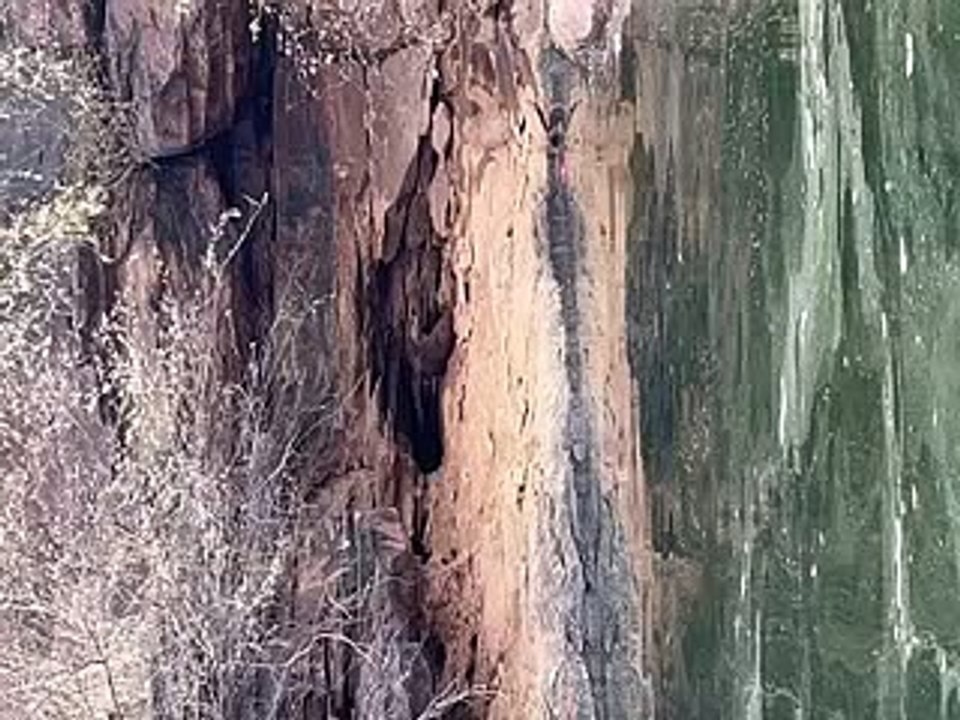 Wild life : चम्बल नदी में वन्यजीवों का रोमांच क...