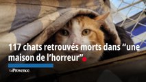 Alpes-Maritimes : 117 chats retrouvés morts dans 
