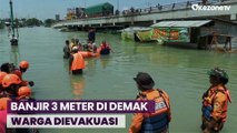 Banjir Demak Meluas Imbas 2 Tanggul Jebol, Ketinggian Air Capai 3 Meter