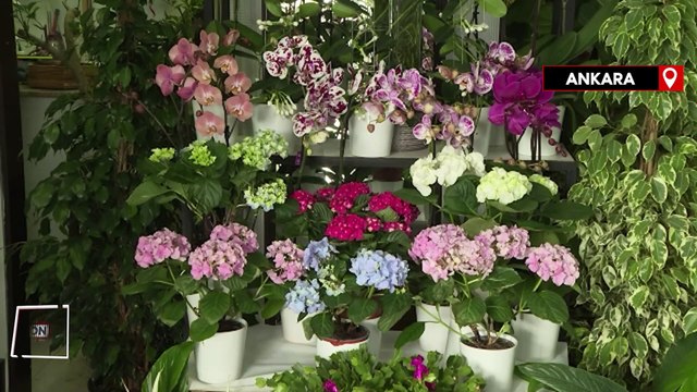 Ankara'da çiçekçiler Sevgililer Günü hazırlıklarına başladı