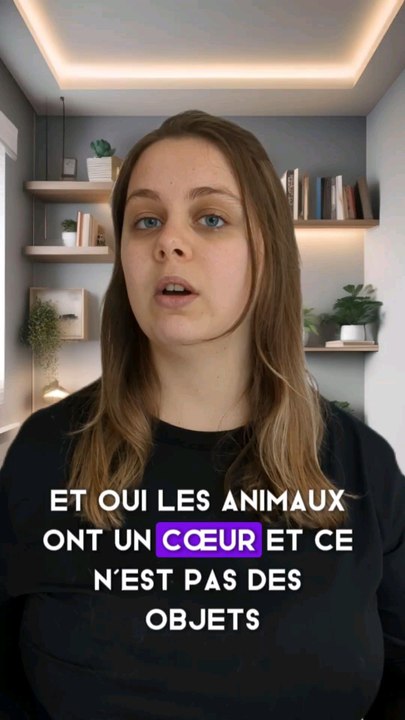 les changements quand on adopte un animal !