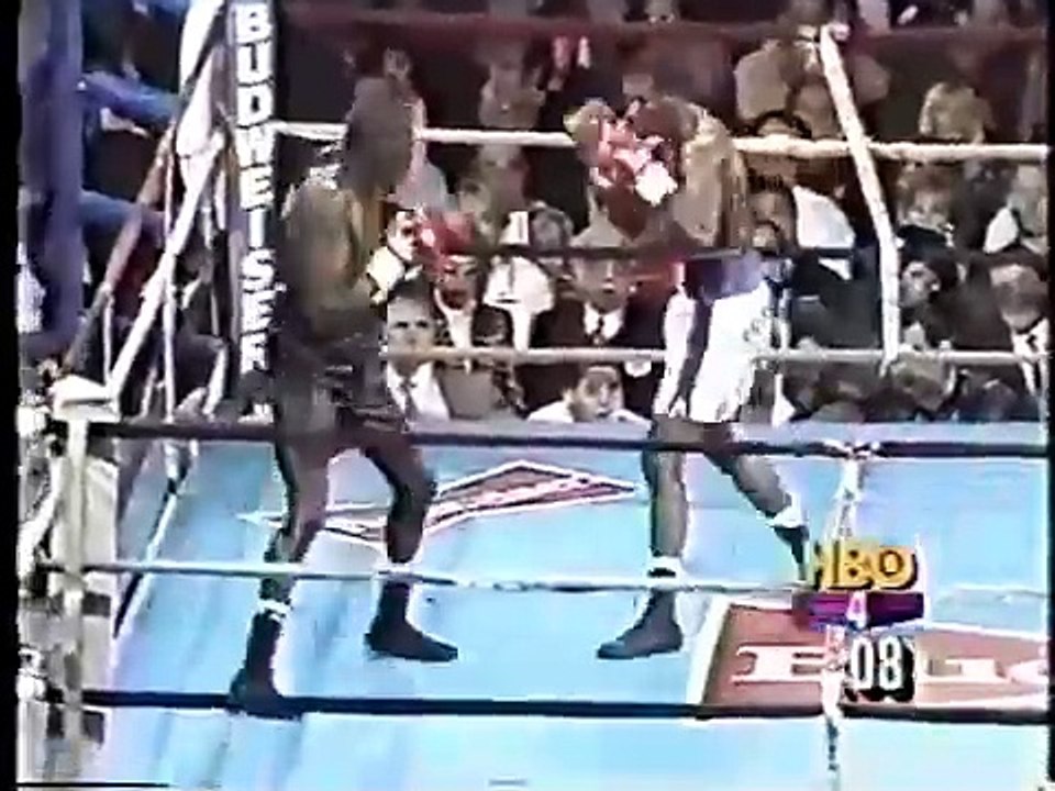 Rafael Pineda vs Roger Mayweather
