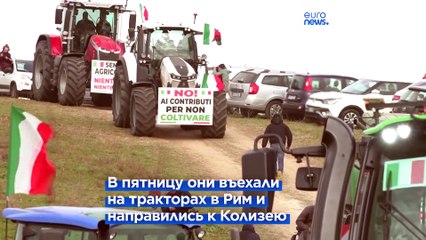 Протесты фермеров в Италии: мнения разделились