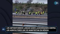 Los antidisturbios lanzan gases lacrimógenos contra los agricultores que se manifiestan en Mérida