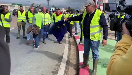 Esto es lo que dicen los agricultores extremeños: "Ellos no han pisado el campo en su vida y quieren ponernos las normas"