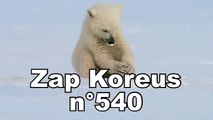 Zap Koreus n°540