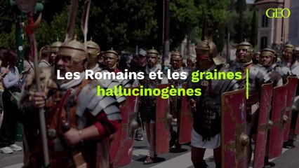 Les Romains cachaient des graines hallucinogènes dans des "flacons" en os