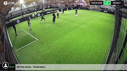 But de adam - Team mols