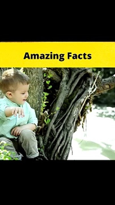 Top 3 Amazing Facts Awesome#facts #shorts#FactBeast #viral #hindifacts