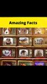 Top 3 Amazing Facts Awesome#facts #shorts#FactBeast #viral #hindifacts
