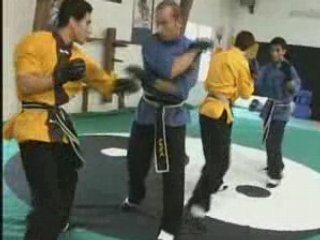 Kung Fu de combat