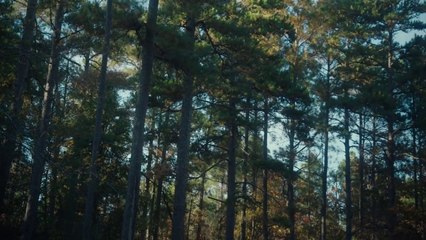 They Called Him Mostly Harmless (2024) – A Fascinating Documentary