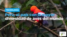 Perú, el país con la mayor diversidad de aves del mundo