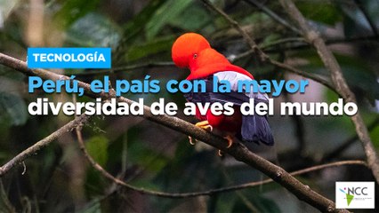 Perú, el país con la mayor diversidad de aves del mundo