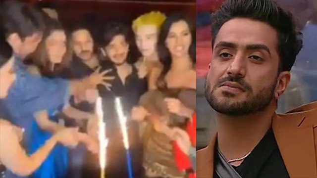 Bigg Boss 17 Success Party Aly Goni, Nikki Tamboli Post Viral, Public Funny Reaction | Boldsky