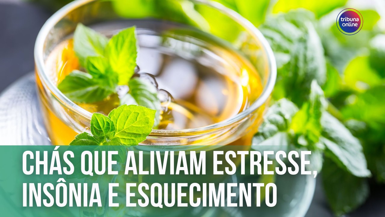 Chás que aliviam estresse, insônia e esquecimento | Fala, Doutora!