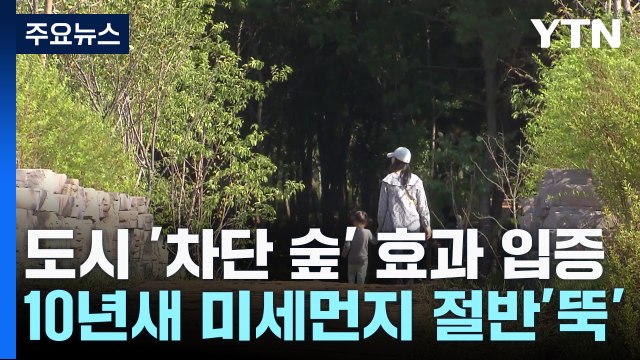 '차단 숲' 설치했더니 10년 새 미세먼지 절반으로 '뚝' / YTN