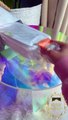 Uncork & Uncap 2-in-1 Ball Maker Ice Cube Tray & Water Bottle