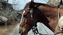 La Mort tragique de Leland Drum (Western, 1966) Jack Nicholson _ Film complet en français