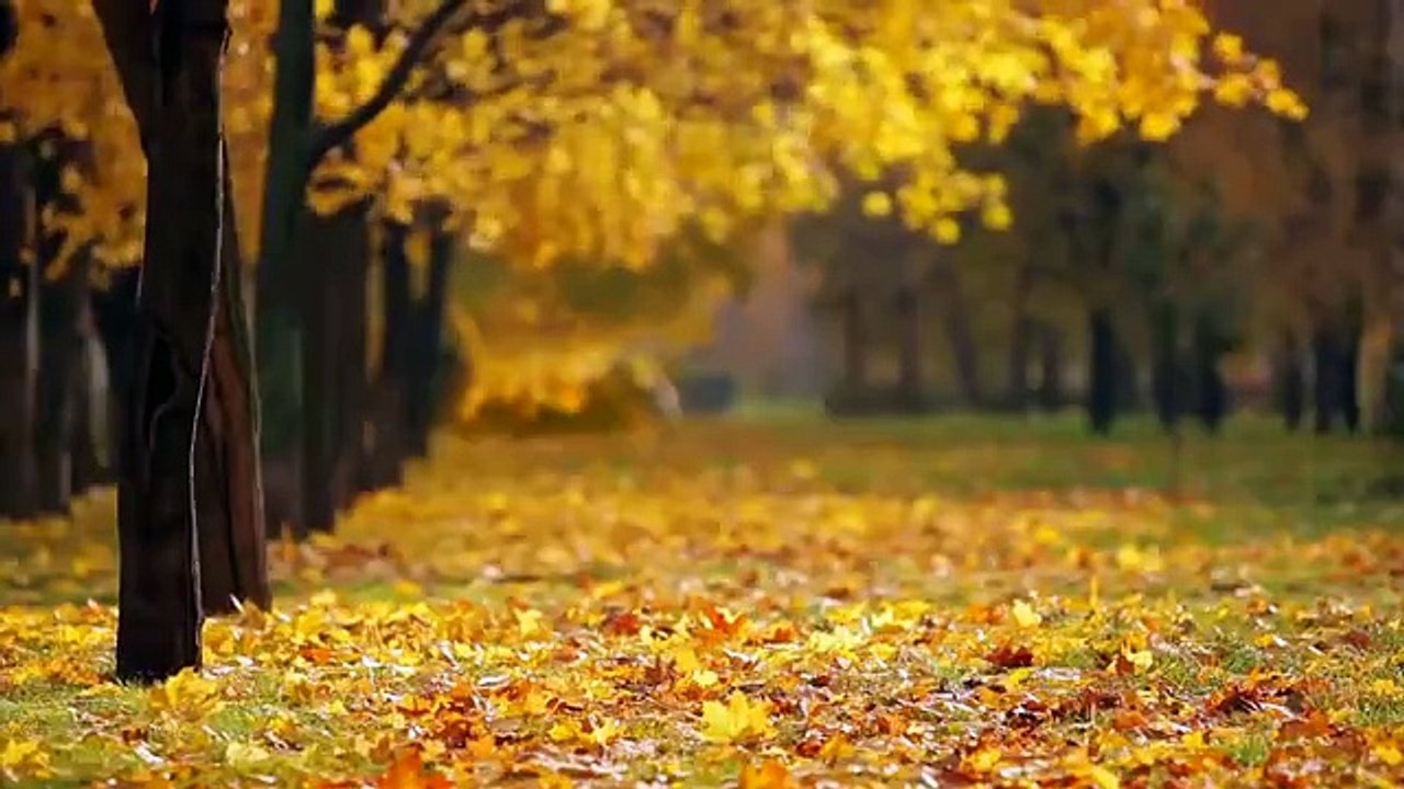 Beauty Of Nature