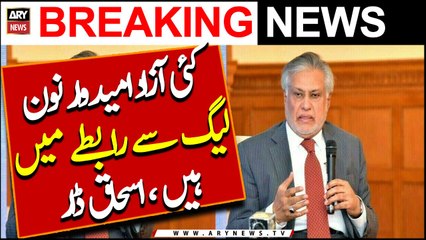 Kayi Azad Umeed War Noon League Se Rabtey Mein Hain, Ishaq Dar