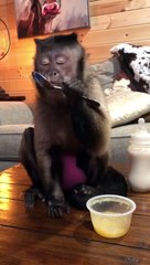 Applesauce before nite nite! Goodnight my friends!!!!