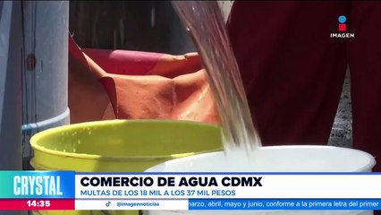 Alertan por avistamientos de tiburón blanco en Sonora