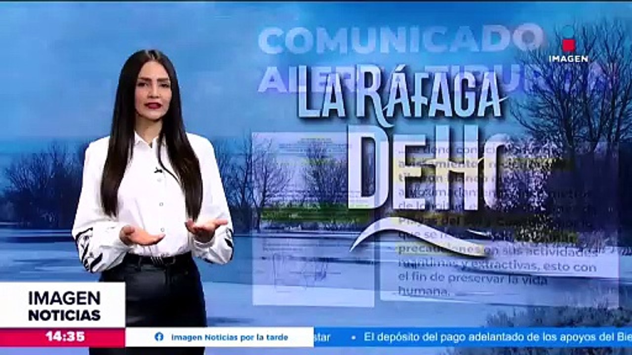 Rescatan a ciervo tras a caer a lago congelado