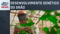 Tecnologia melhora qualidade do feijão para consumidores brasileiros
