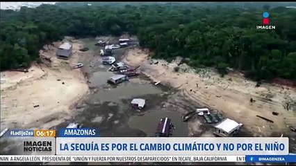 Sequía en la cuenca del Amazonas es causada por el cambio climático