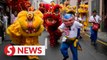 Chinese communities in Peru, Cuba welcome Lunar New Year