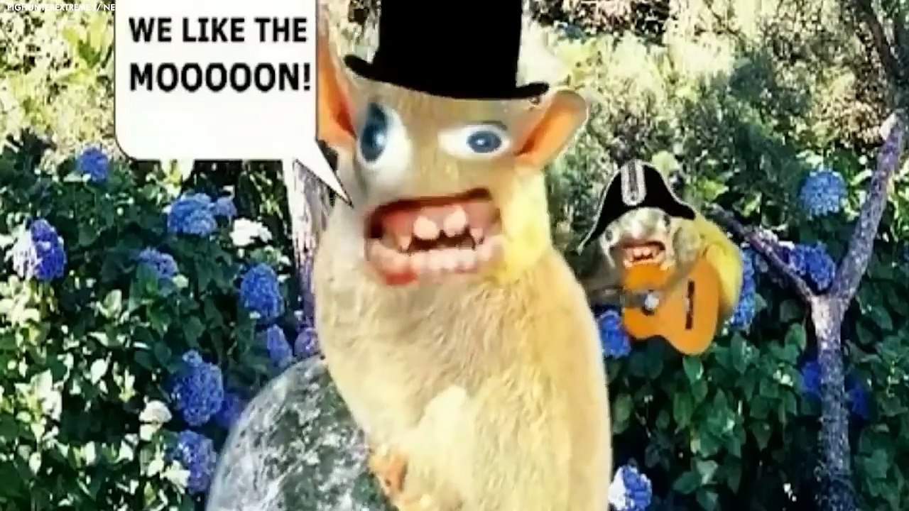 実際に放送されたクレイジーなコマーシャル