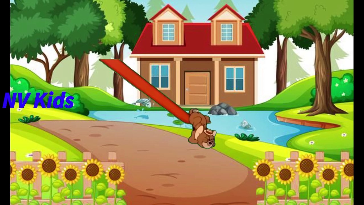 tom & jerry  best of little quacker  classic cartoon wb kids  nv kids