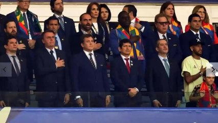 Bovinos satisfeitos com seu visor de realidade virtual - HD | Tapa Libertário - 02/11/19 | ANCAPSU