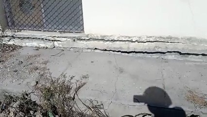 27 करोड़ से बने विवि के नए भवन की दीवारें लगी धंसने, देखें वीडियो