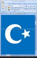 moon symbol insert in ms word office 2024