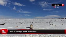 Bitlis'te köpeğin drone ile imtihanı