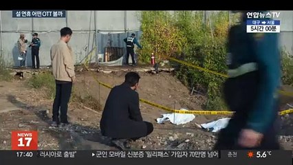 설 연휴 볼만한 OTT는…신작부터 놓친 영화까지