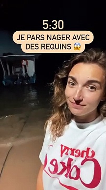 NAGER AVEC DES REQUINS ✅
