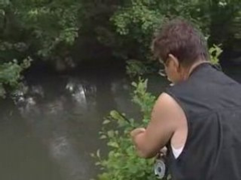 La Touques et ses truites de mer