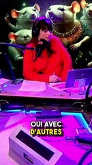 Covoiturage de Colis 🚗