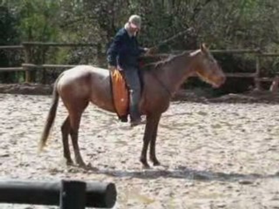 méthode éthologique démonstration de reculer