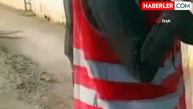 Hayvan Rehabilitasyon Merkezi'nde Dehşete Düşüren Görüntüler