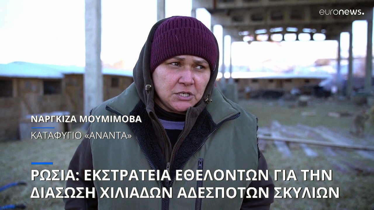 Ρωσία: Εκστρατεία εθελοντών για να σωθούν χιλιά...