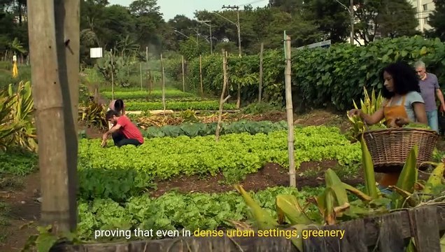 @ Green Above & Beyond_ The Urban Agriculture Revolution