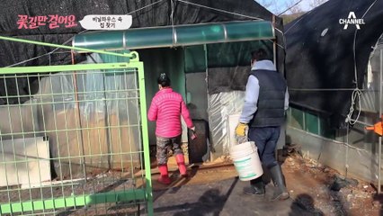 비닐하우스 속에 있는 집!? 편치 않은 몸을 가진 부부의 고된 일상..