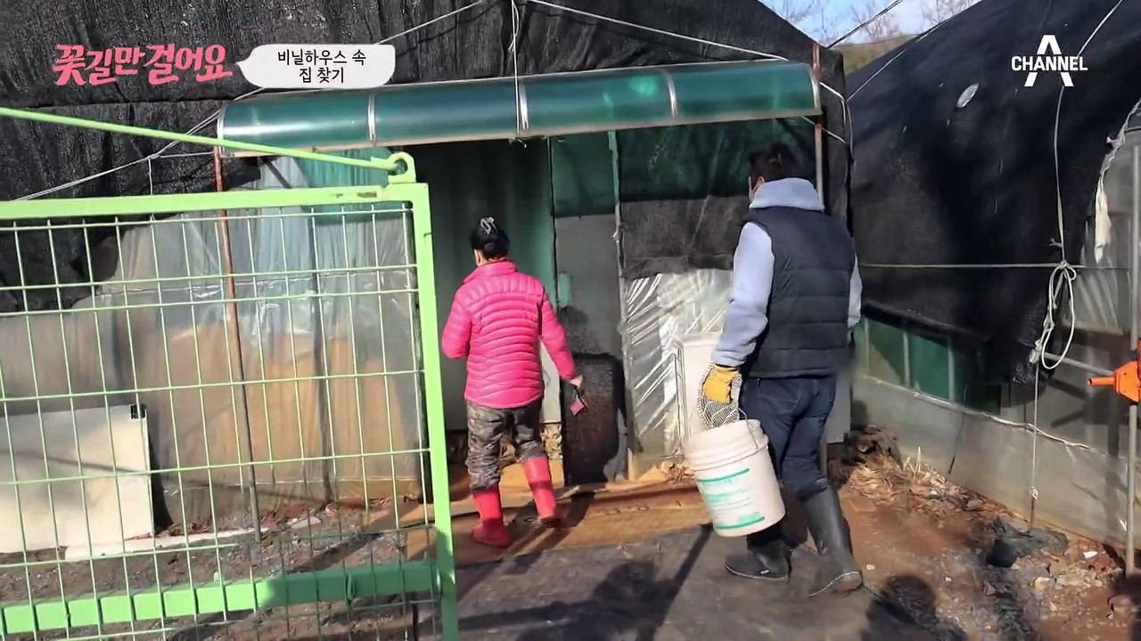 비닐하우스 속에 있는 집!? 편치 않은 몸을 가진 부부의 고된 일상..