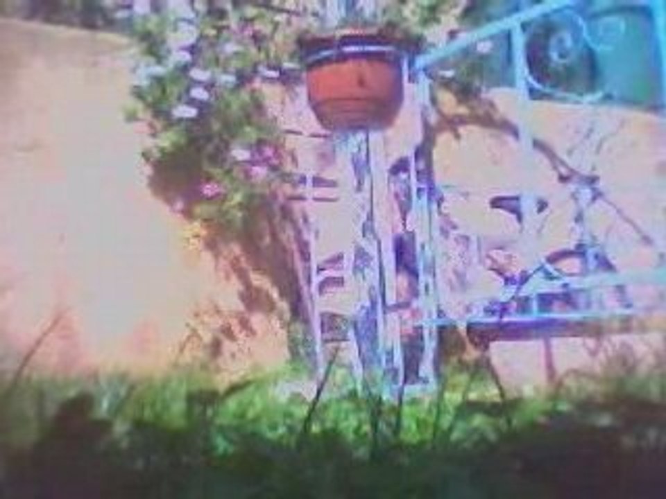 Shadow dans l'herbe 2
