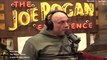 Episode 2100 - Cameron Hanes & Steven Rinella - The Joe Rogan Experience [Latest Podcast]
